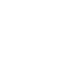 Black Phoenix